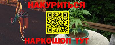молекула духа Ставрополь